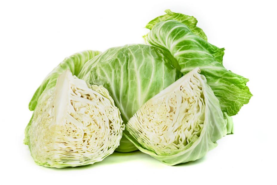 ¿Conoces todos estos tipos de coles? repollo