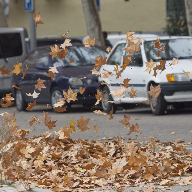 ¡Ojo! La Guardia Civil advierte del peligro de las hojas en la carretera