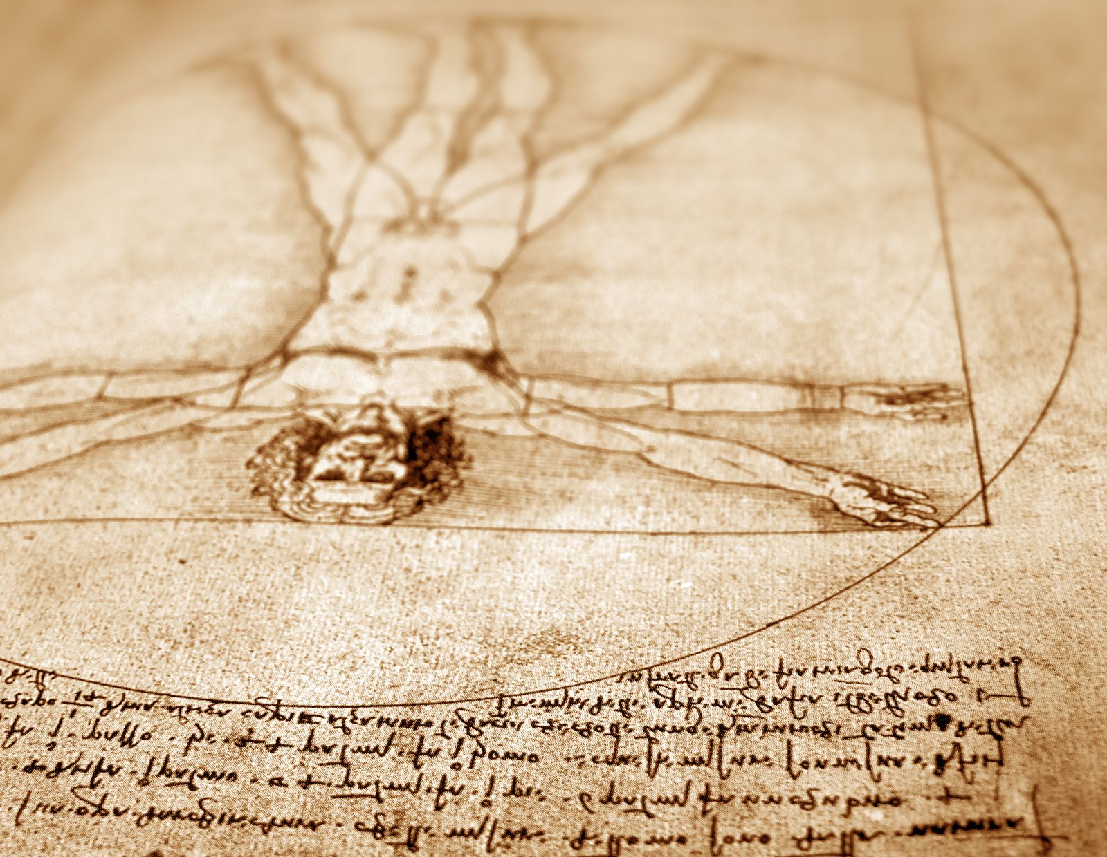 El homenaje a Leonardo da Vinci que recorrerá España