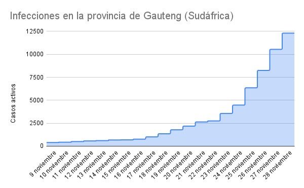 Infecciones en la provincia de Gauteng (Sudáfrica) (1)