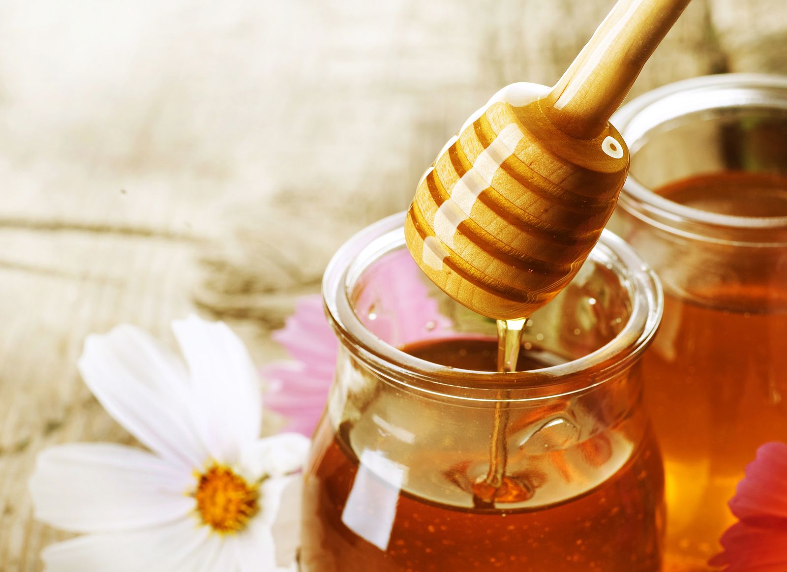 Todo lo que necesitas saber sobre la miel: tipos, mitos y beneficios. Foto: Bigstock