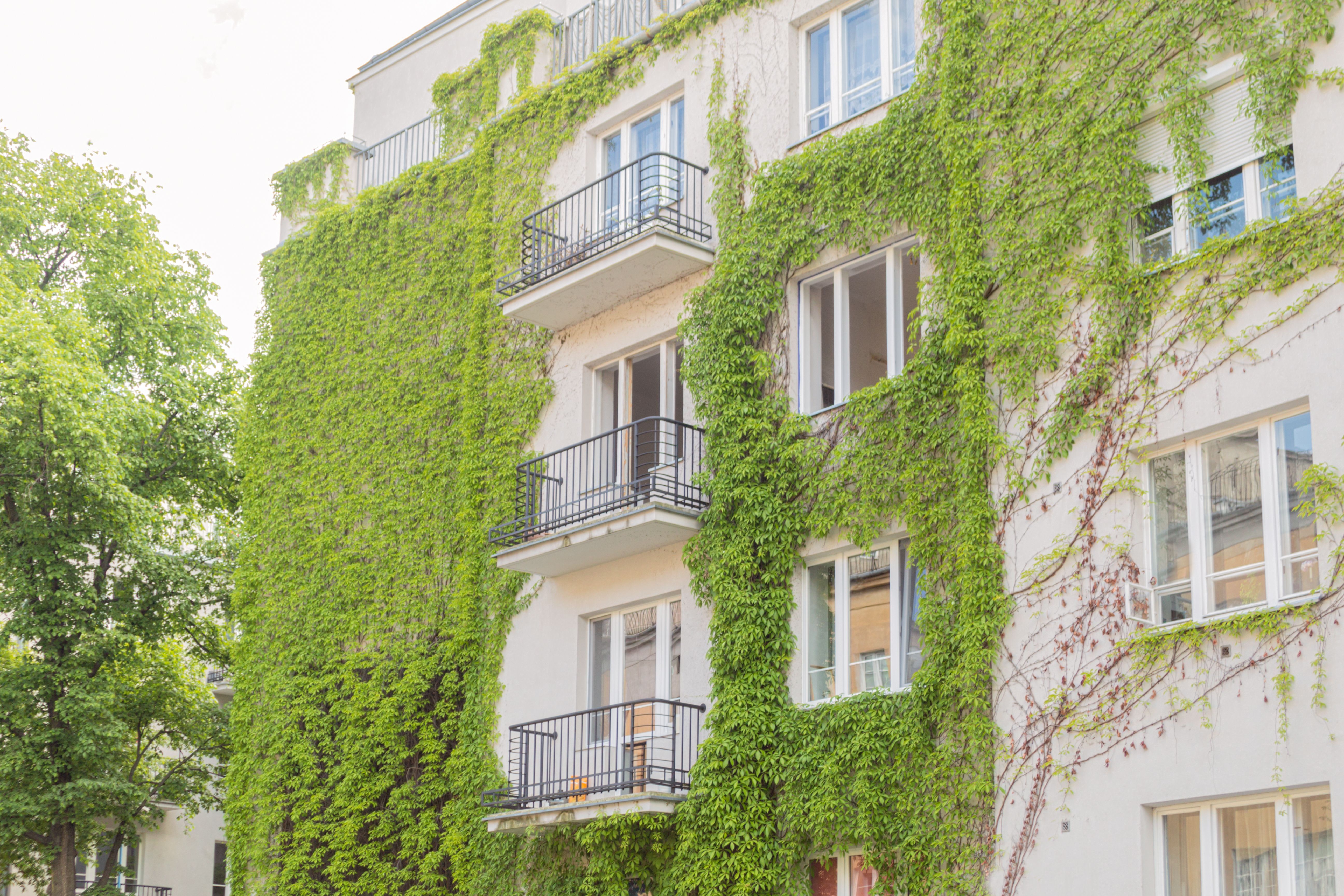 Las fachadas cubiertas con plantas reducen un 30% la pérdida de calor en los edificios