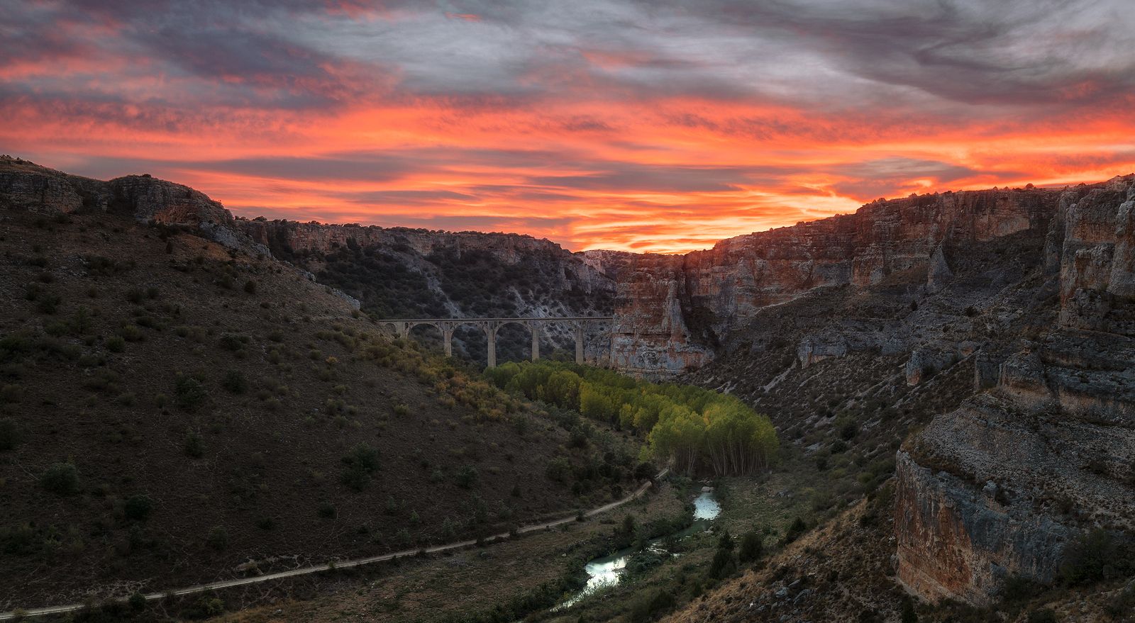 Camina por las hoces del río Riaza y contempla al buitre leonado