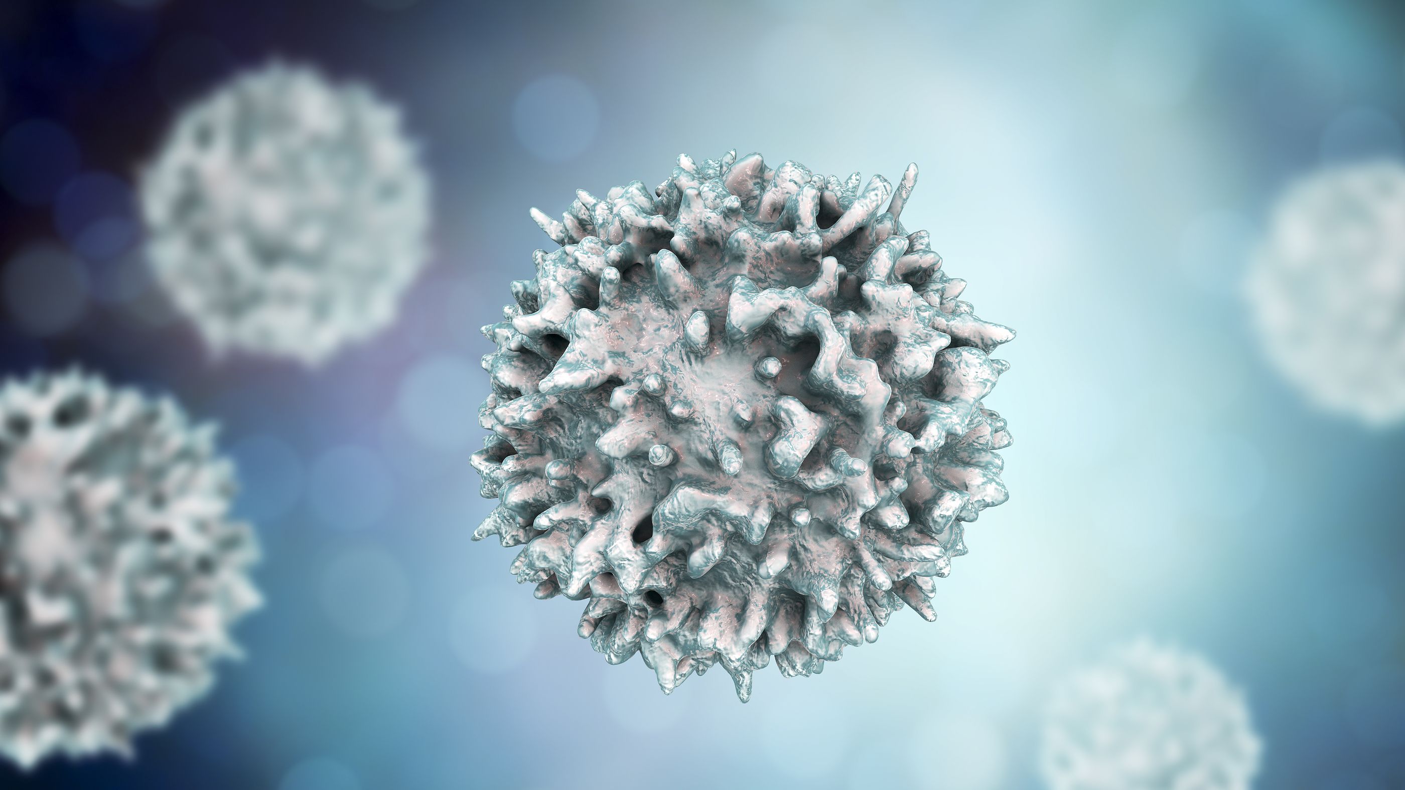 Linfocitos T, las células que nos salvarán de ómicron, por mucho que baje la eficacia de las vacunas