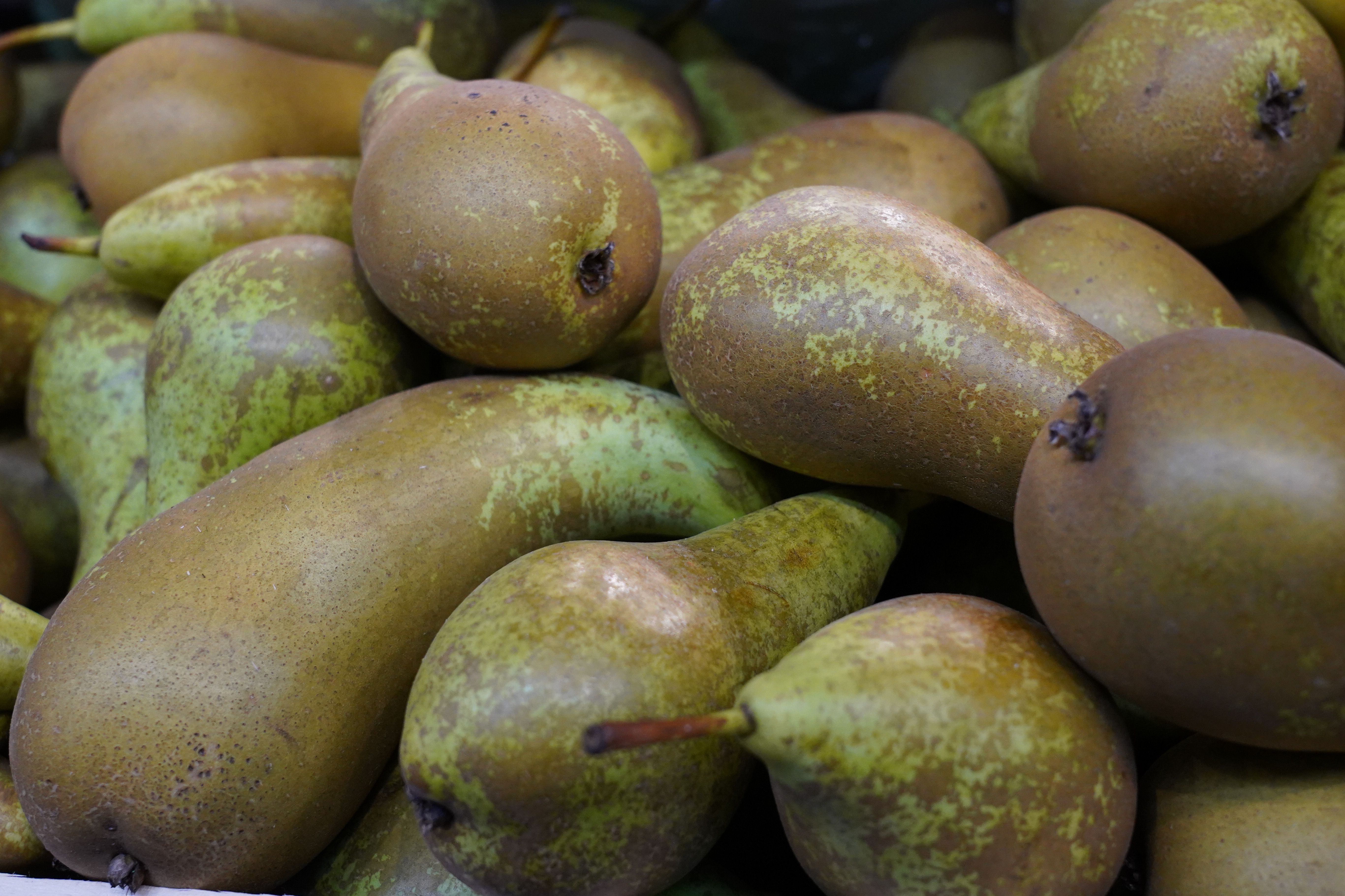 ¿Qué significan las manchas marrones en la piel de las peras? Foto: Bigstock