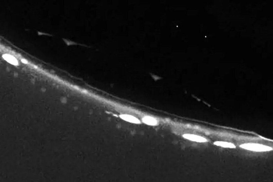 EuropaPress 4131240 imagen microscopia fluorescencia protoceldas contacto burbuja gas (1)