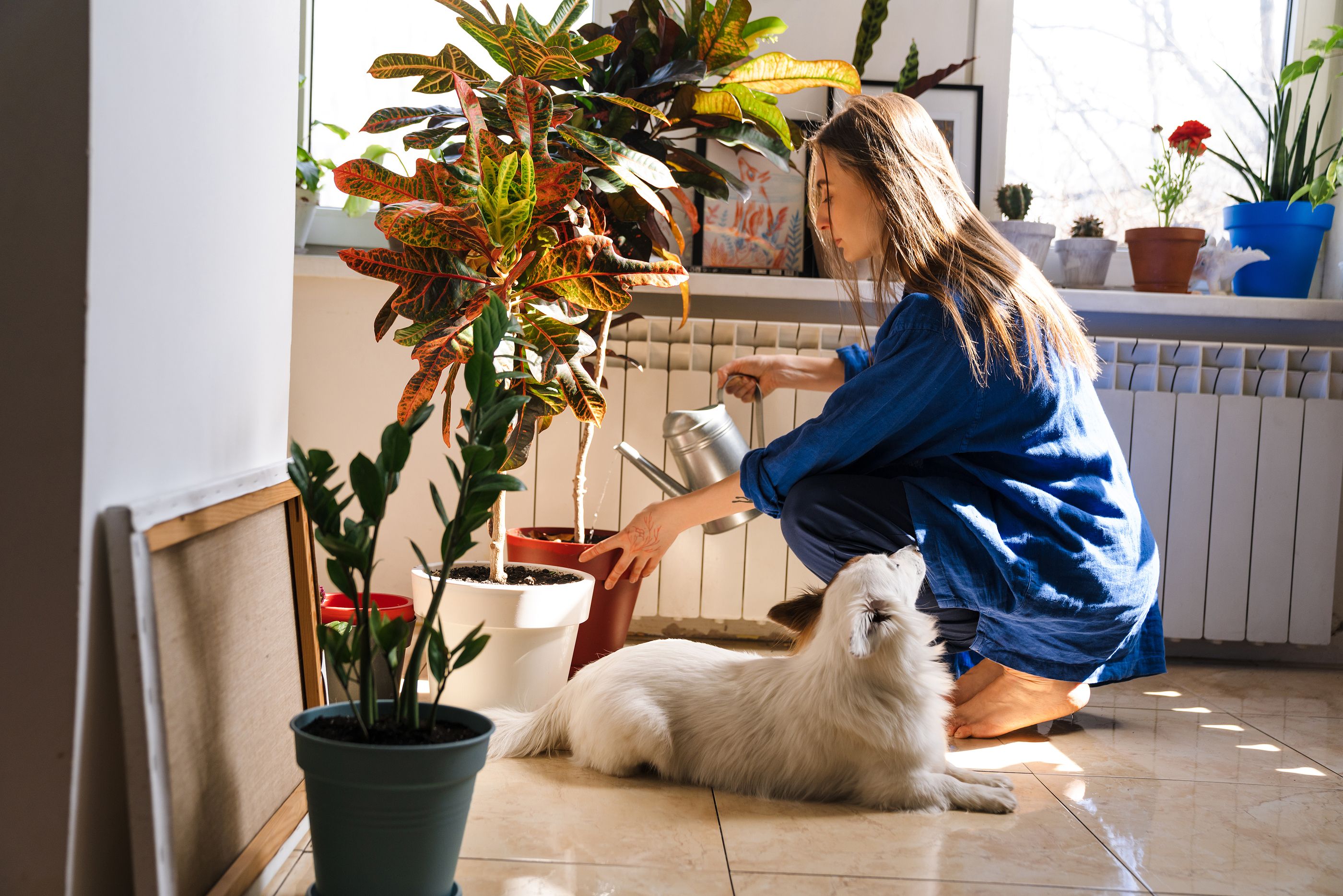 ¡Cuidado! Si tienes mascotas, mantenlas alejadas de estas plantas tóxicas (Foto: Bigstock)