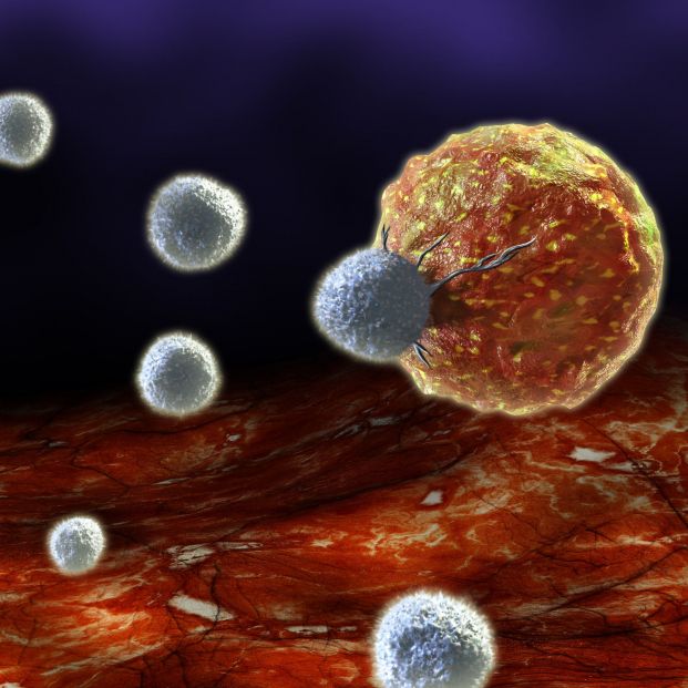 Investigadores descubren un sorprendente beneficio para el sistema inmunitario tras una infección. Foto: Bigstock