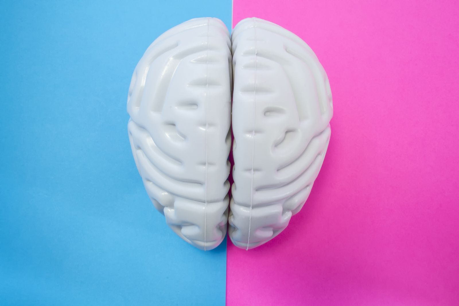 Qué hay de verdad sobre las diferencias entre el cerebro masculino y el femenino