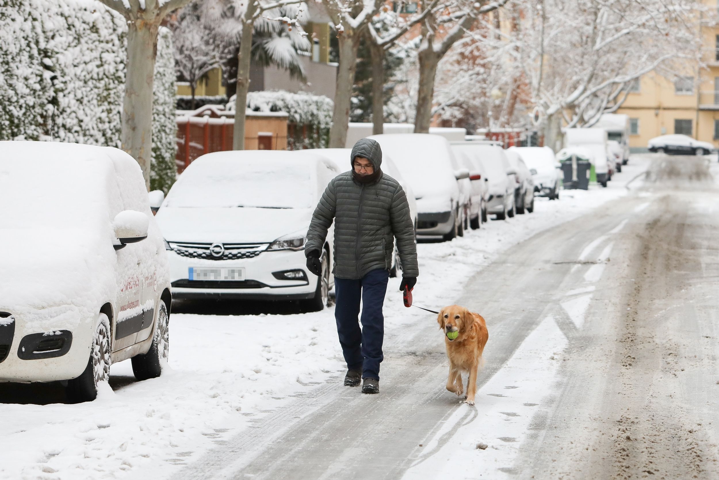 ¿Cuánto frío puede soportar mi perro? Foto: Europa Press