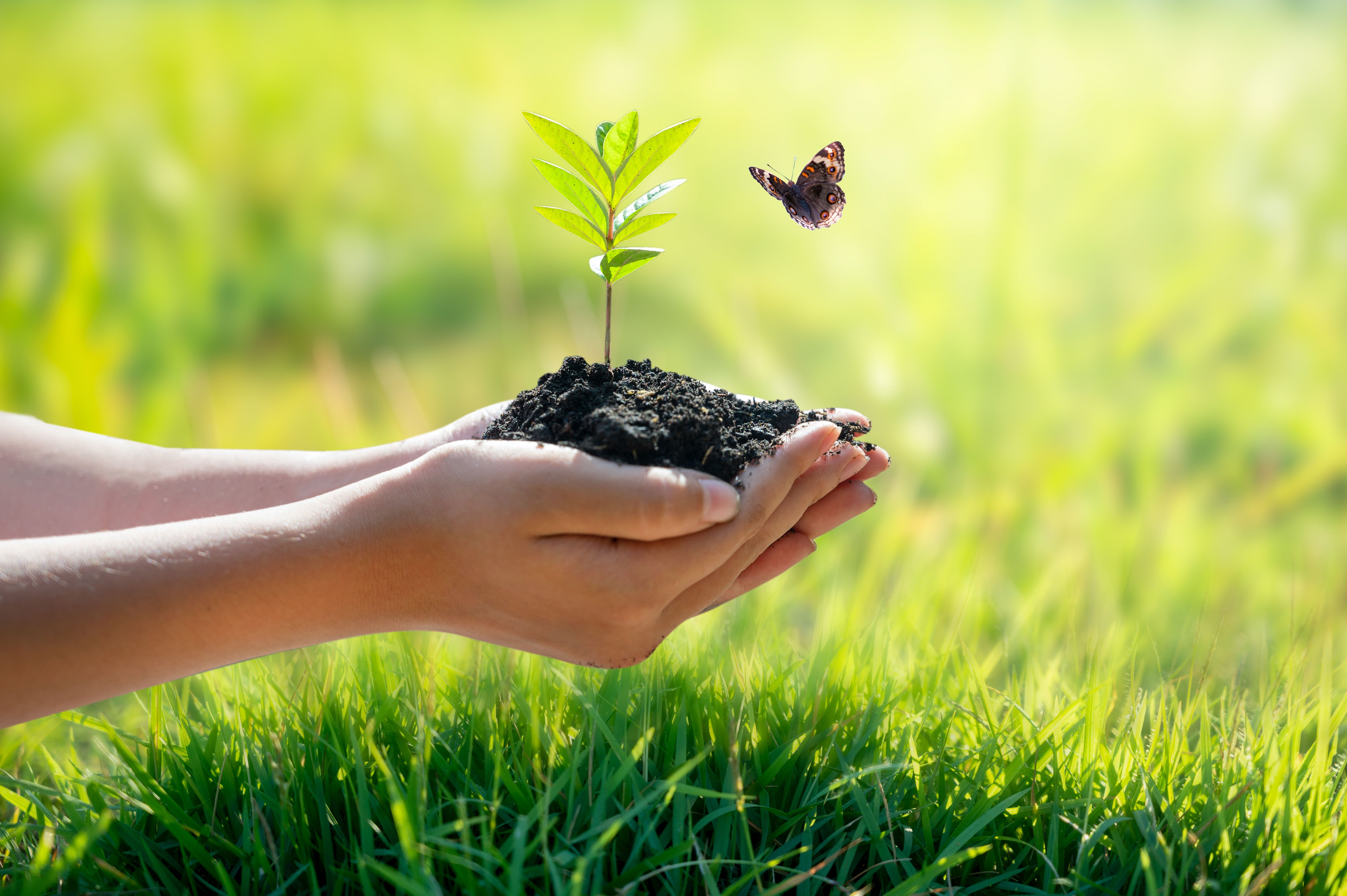 Talleres intergeneracionales para luchar contra el cambio climático