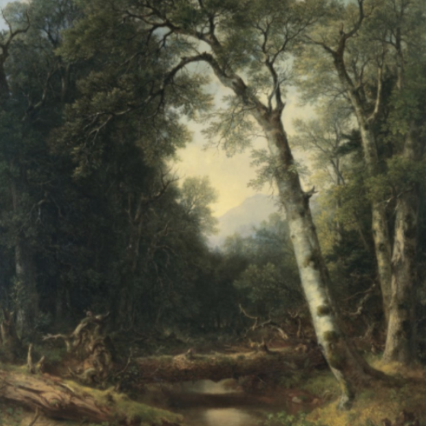 Asher Brown Durand. Un arroyo en el bosque, 1865. Foto: Museo Nacional Thyssen-Bornemisza