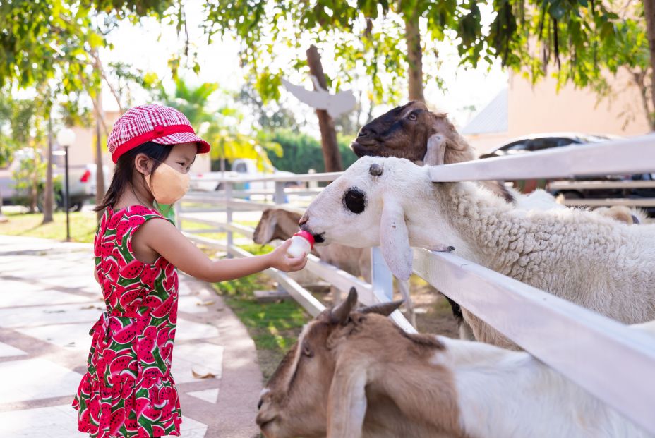 niña covid animales niña covid animales