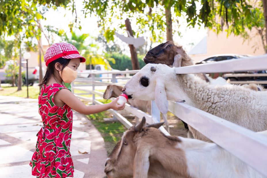 niña covid animales