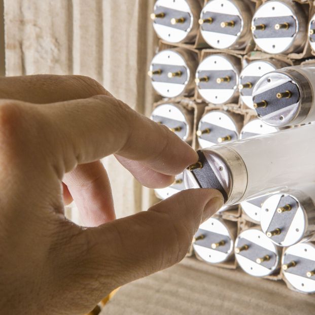 Bruselas prohíbe la comercialización de lámparas fluorescentes que contengan mercurio. Foto: Bigstock