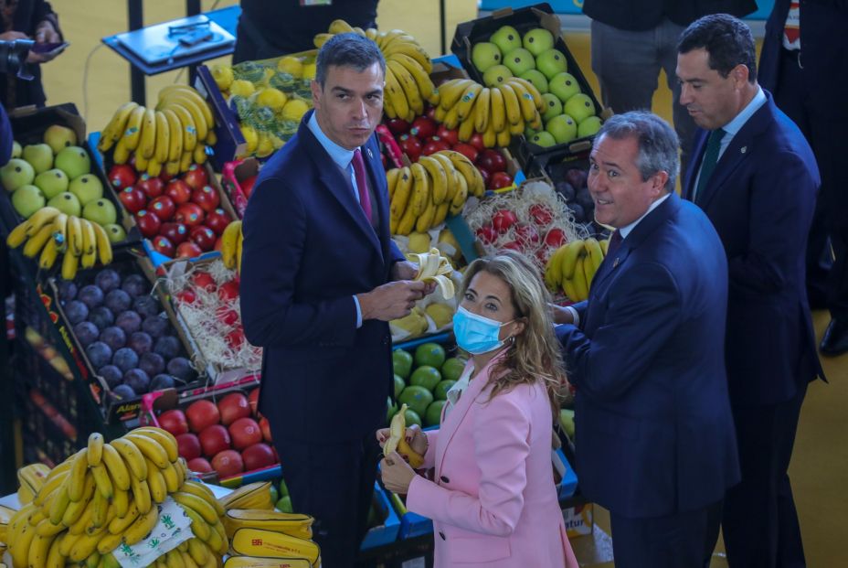 presidente pedro sanchez platano