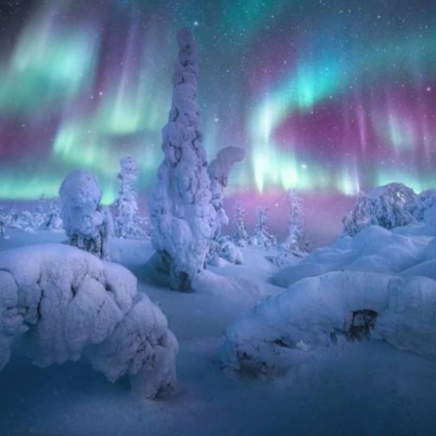 Las mejores fotografías de auroras boreales de 2021