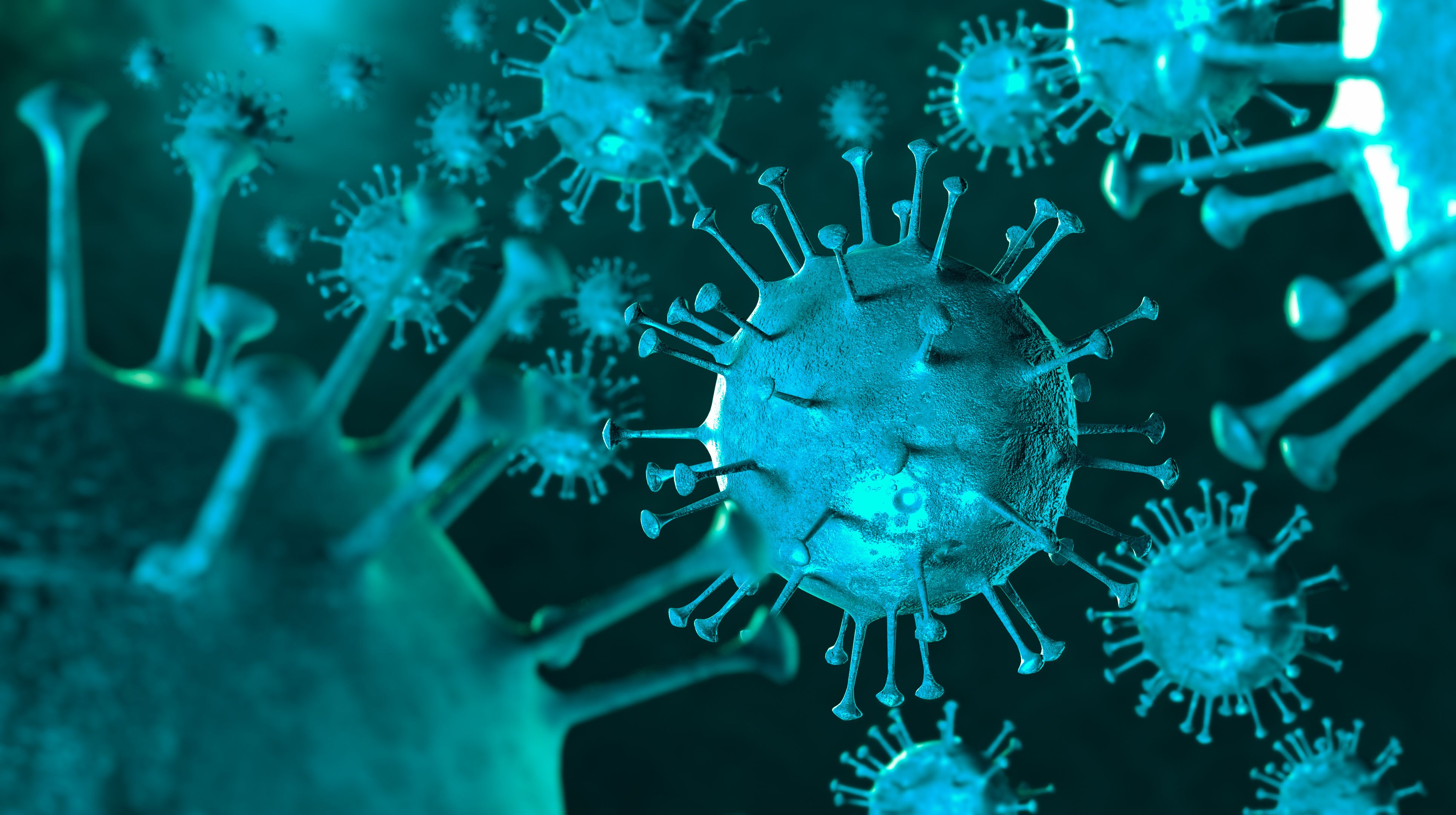 ¿Cuánto duran los anticuerpos contra el coronavirus?