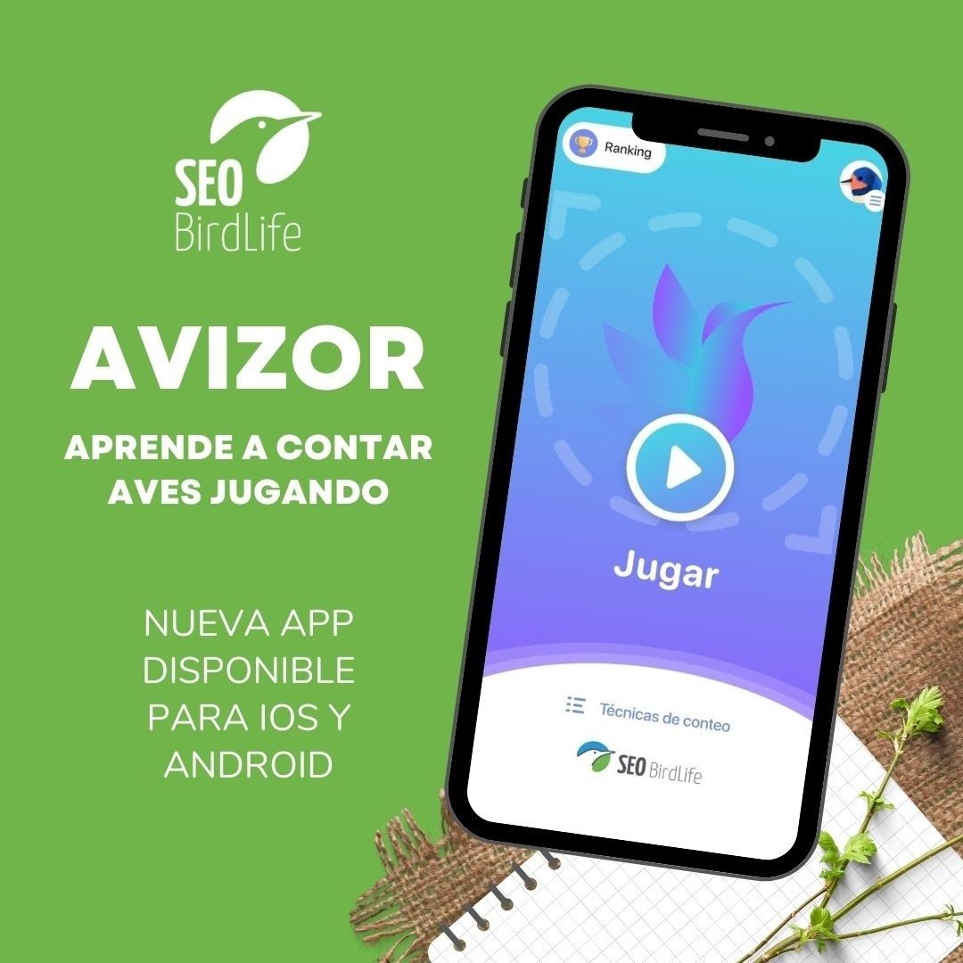 Avizor, la aplicación de SEO/BirdLife para aprender a contar aves