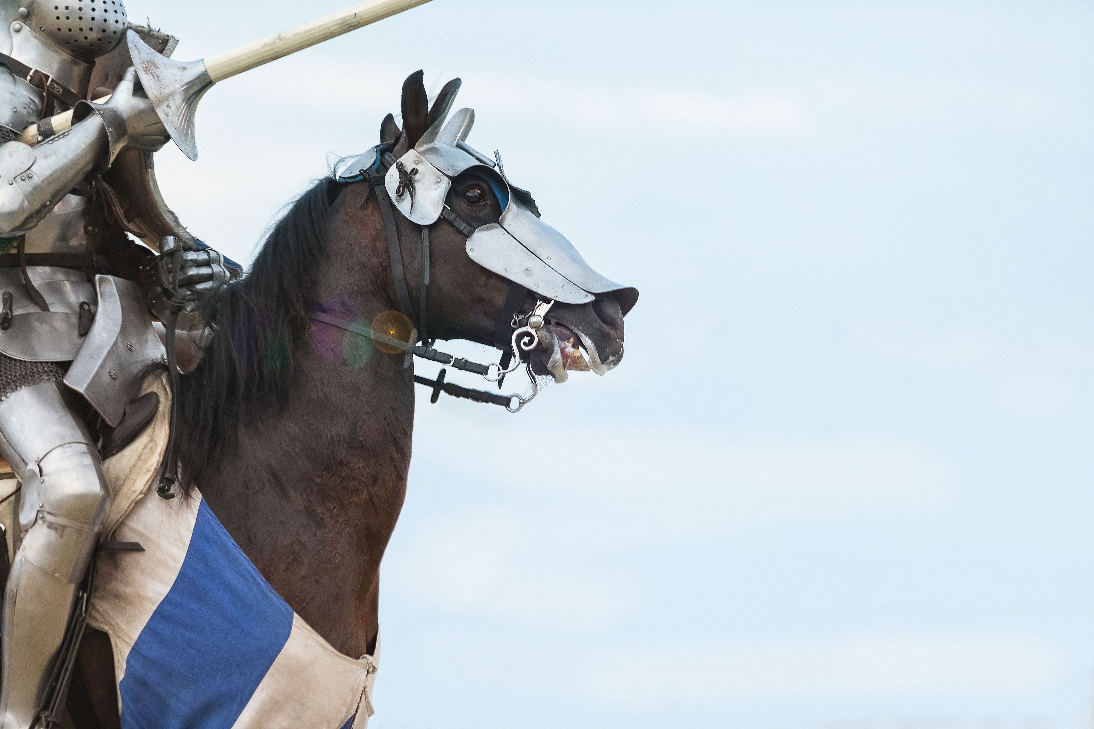 Los caballos de guerra medievales eran sorprendentemente pequeños