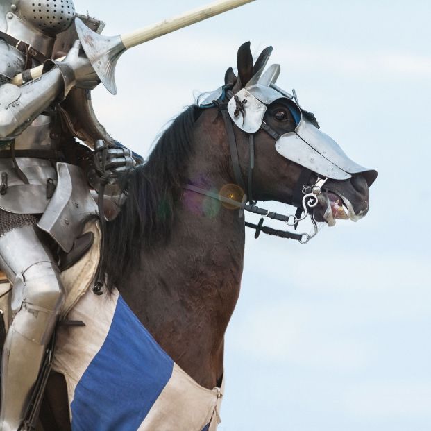 Los caballos de guerra medievales eran sorprendentemente pequeños