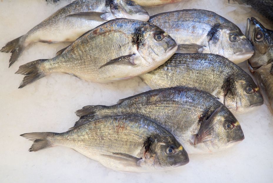 bigstock Dorado Chilled Fish In The Fr 441188807