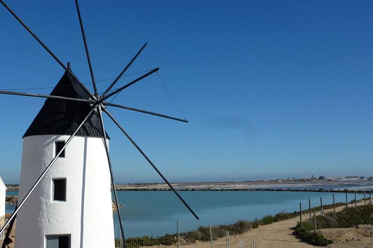 Molinos de Quintín y Calcetera en San Pedro del Pinatar. Foto Murcia Turística