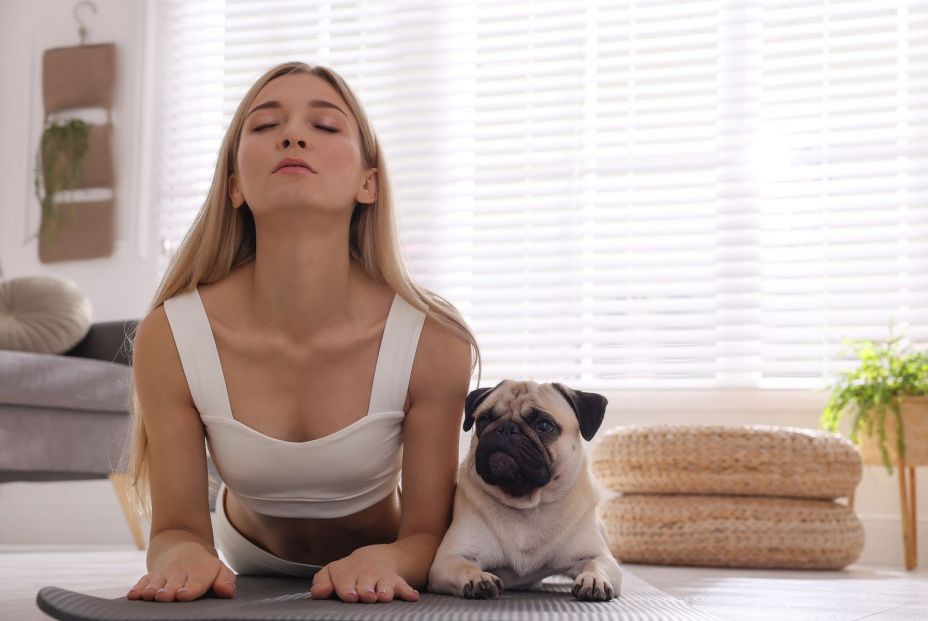 Ejercicios para practicar con tu perro