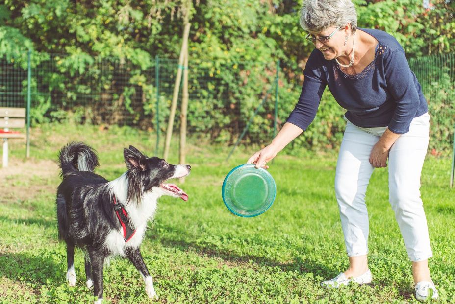 Ejercicios para practicar con tu perro