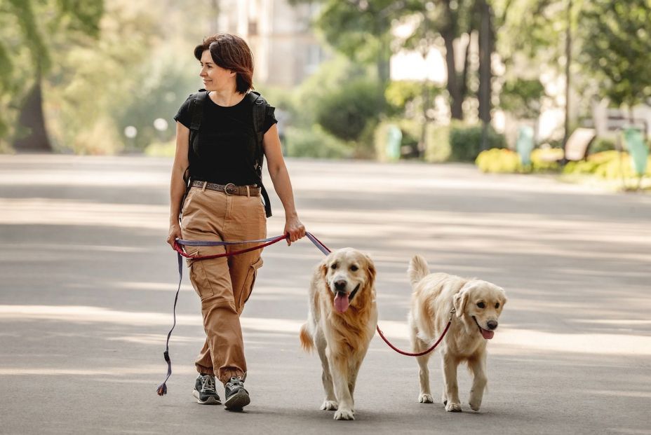 Ejercicios para practicar con tu perro