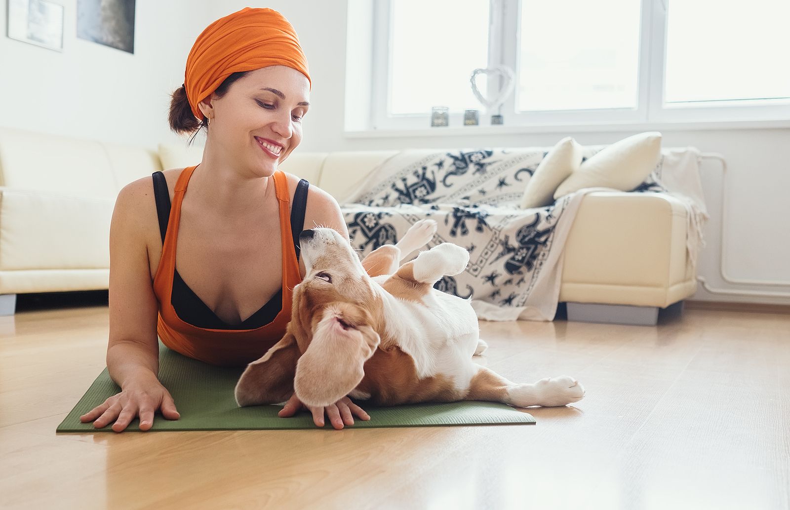 Actividades para practicar con tu perro: natación, doga o canicross