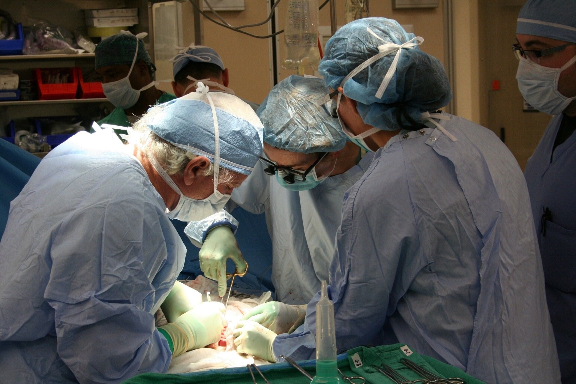 Nuevo hito de la ciencia: primer trasplante de riñones de cerdo a un ser humano. Foto: Europa Press
