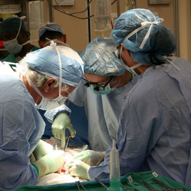 Nuevo hito de la ciencia: primer trasplante de riñones de cerdo a un ser humano. Foto: Europa Press