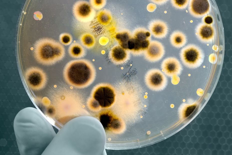 Las bacterias resistentes a los antibióticos ya provocan más muertes que el sida y la malaria