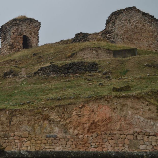 castillo cogolludo