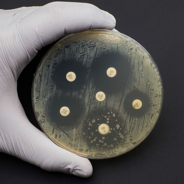 Resistencia a los antibióticos: al borde una auténtica crisis mundial
