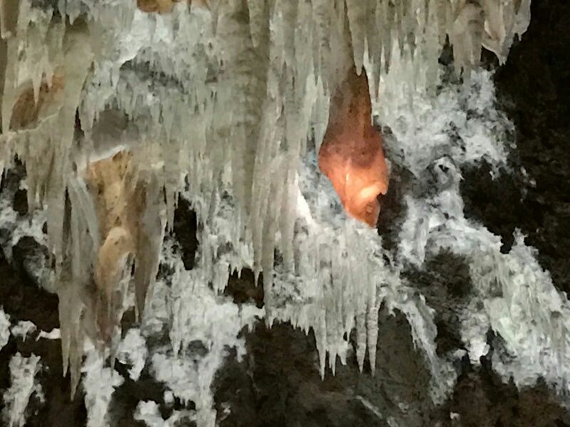 Las grutas más bellas de España. Gruta del Águila. Arenas de San Pedro