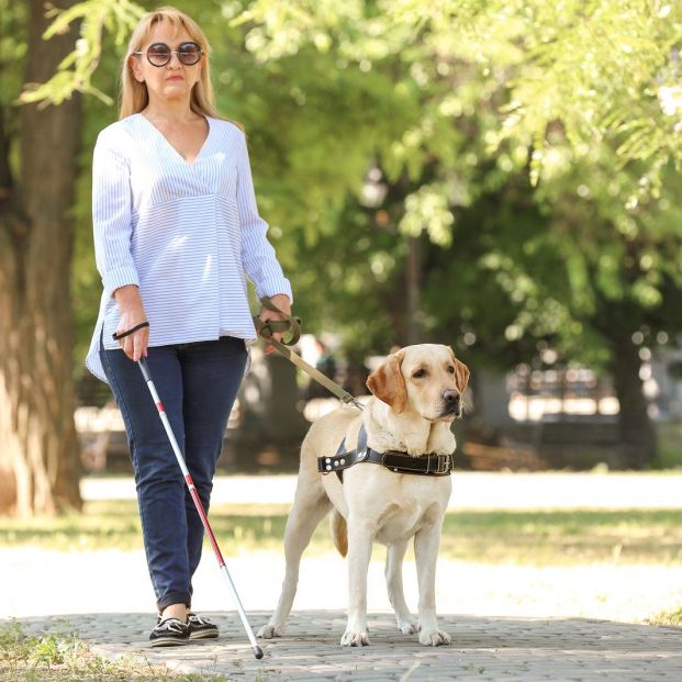 Una persona ciega pasea con su perro en una ciudad (bigstock)