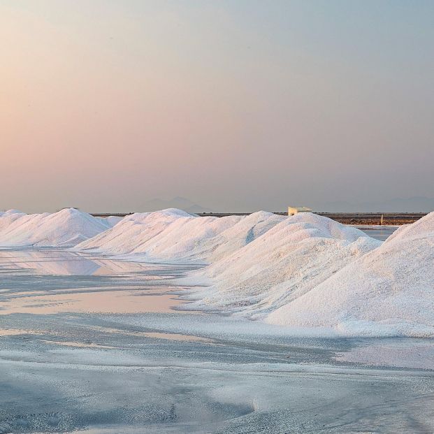 Conoce el ingrediente secreto del Parque Regional de las Salinas y Arenales de San Pedro del Pinatar