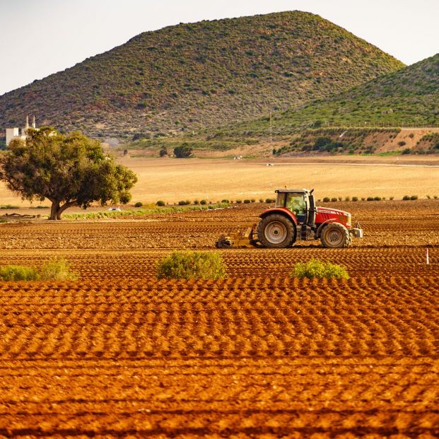 Un tercio de los titulares de explotaciones agrarias en España son mayores de 65 años