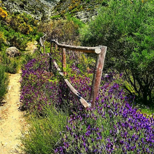 comarca la vera trabuquete