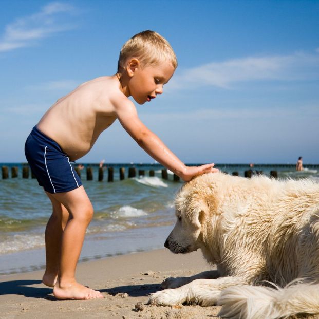 Niño jugando con su perro en la playa