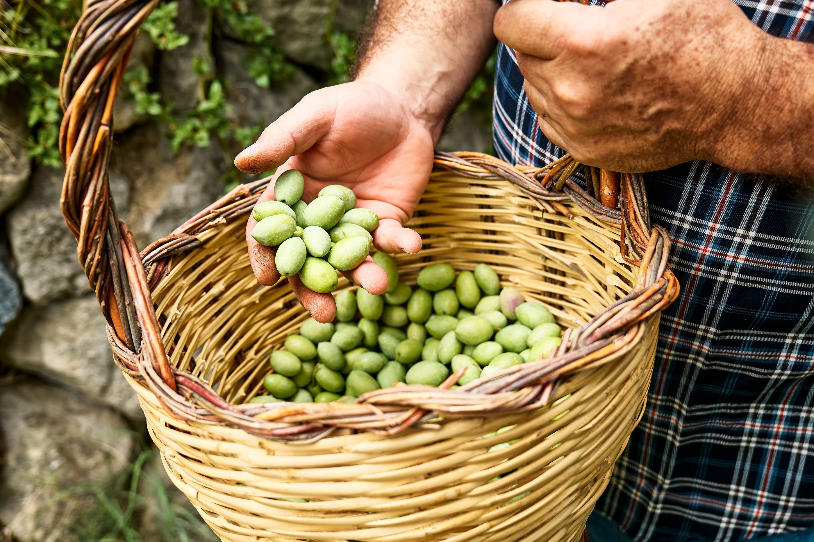 Quién está detrás de las aceitunas que más vende Lidl