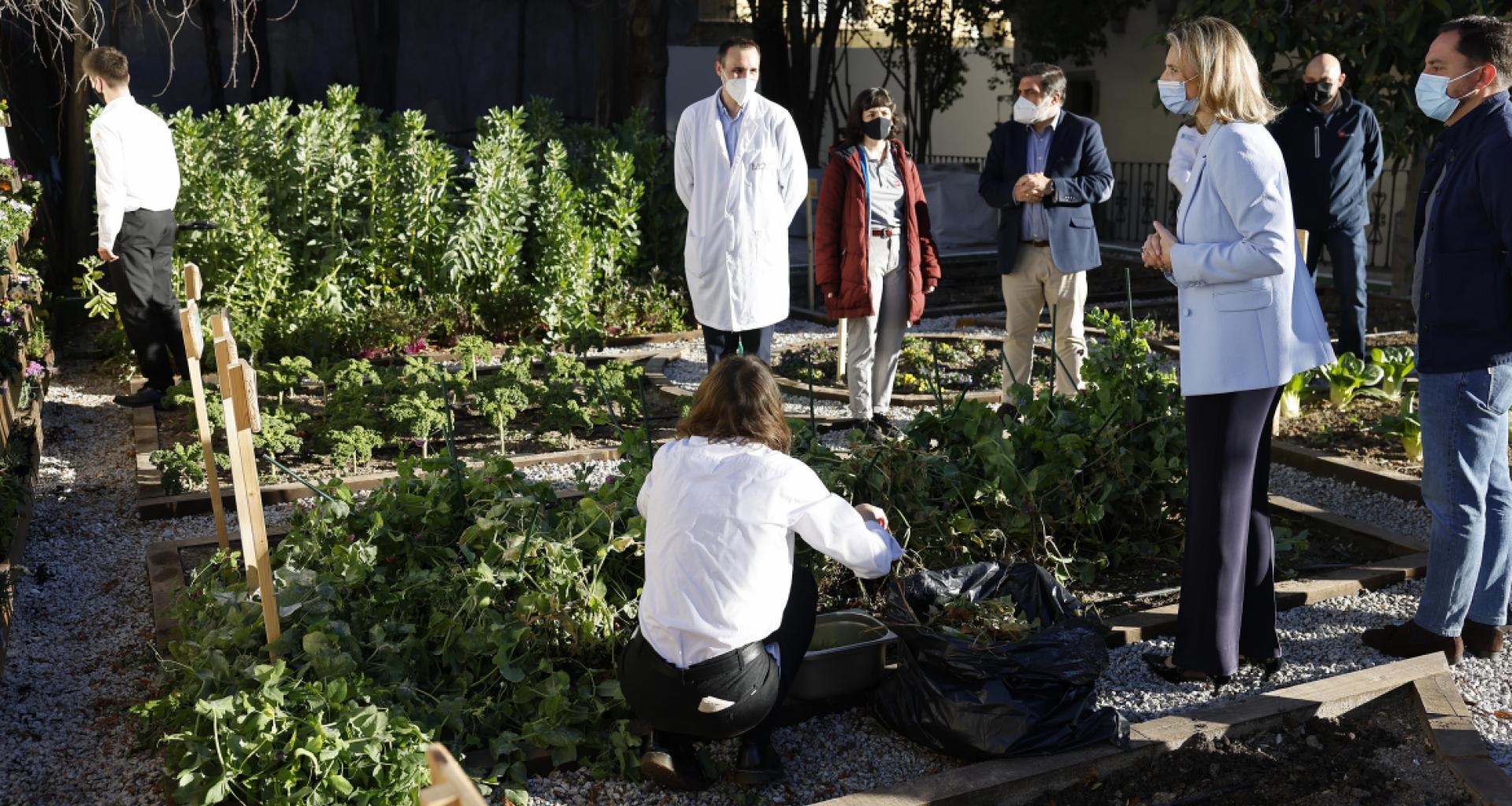 La Comunidad de Madrid crea el primer laboratorio agrícola urbano en la región. Foto: Comunidad de Madrid