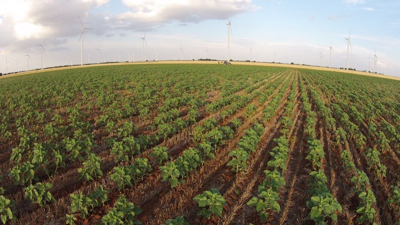 La Comunidad de Madrid ofrece ayudas para métodos y prácticas de agricultura y ganadería ecológicas. Foto: Europa Press