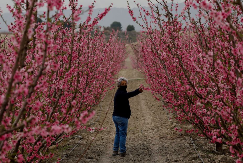 EuropaPress 3586671 agricultora esperanza ramirez finca cieza murcia espana marzo 2021