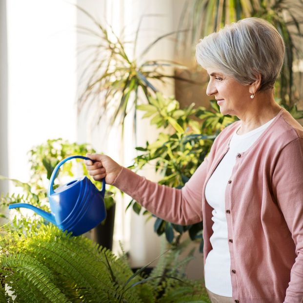 Los beneficios de realizar tareas domésticas, como lavar los platos o planchar, para la salud. Foto: Bigstock Los beneficios de realizar tareas domésticas, como lavar los platos o planchar, para la salud. Foto: Bigstock