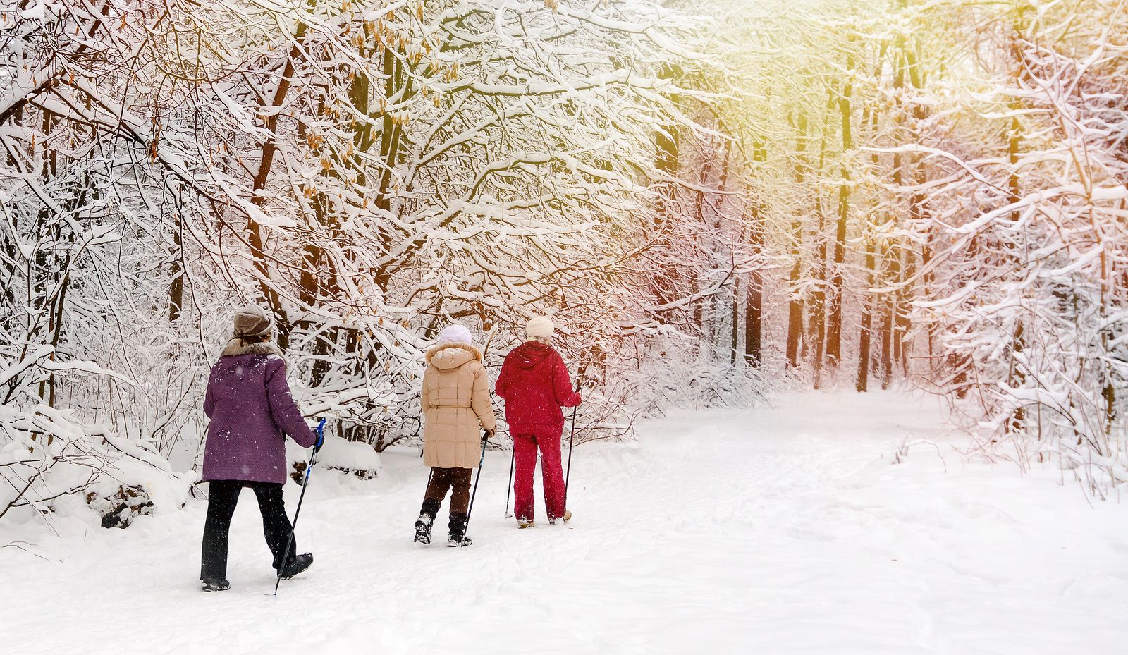 Paseos en raqueta por la nieve como alternativa al esquí (Bigstock)