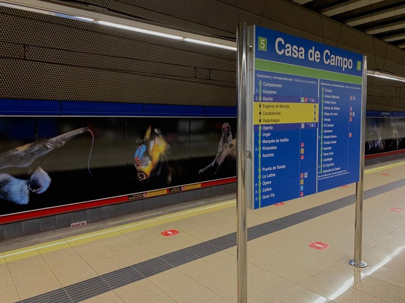 El Zoo de Madrid celebra sus 50 años con fotos de animales en extinción en el metro