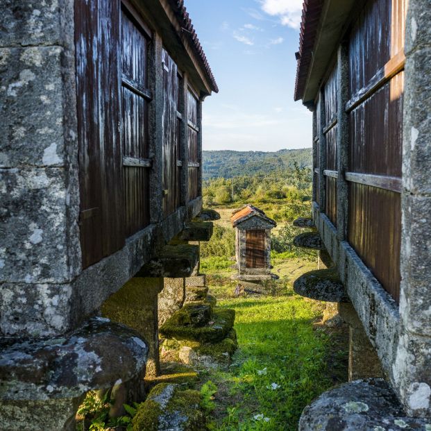 Eirado de Filgueira